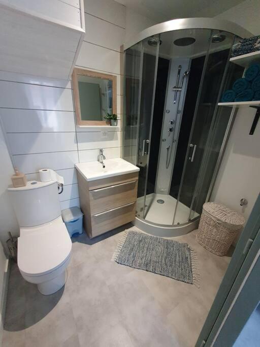 Roanne Centre, Appartement Refait A Neuf. Buitenkant foto