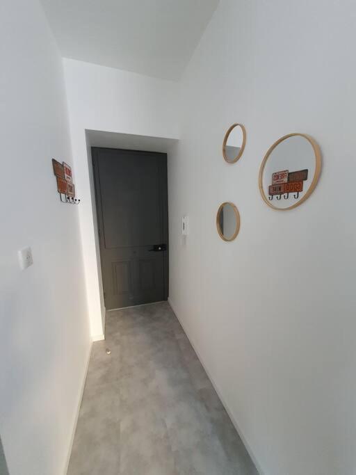 Roanne Centre, Appartement Refait A Neuf. Buitenkant foto
